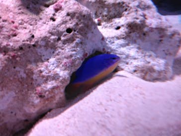 マクセル アクアパーク品川に投稿された画像（2024/2/24）