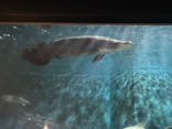 箱根園水族館に投稿された画像（2024/2/24）