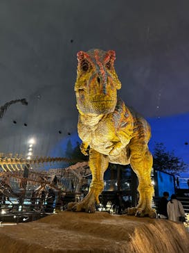福井県立恐竜博物館に投稿された画像（2024/2/24）