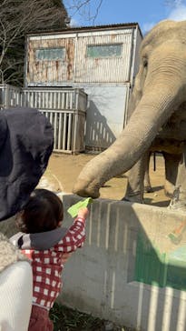 宇都宮動物園に投稿された画像（2024/2/24）