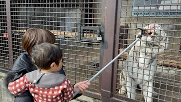 宇都宮動物園に投稿された画像（2024/2/24）
