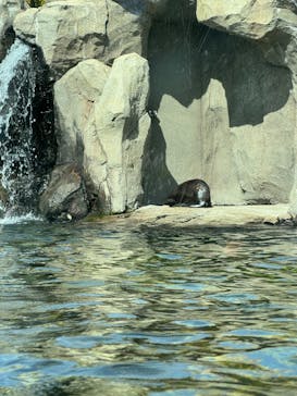 神戸どうぶつ王国に投稿された画像（2024/2/24）