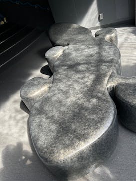 京都水族館に投稿された画像（2024/2/24）