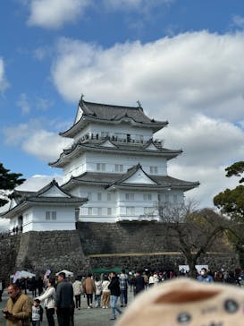 小田原城に投稿された画像（2024/2/24）