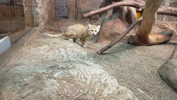 那須どうぶつ王国に投稿された画像（2024/2/24）