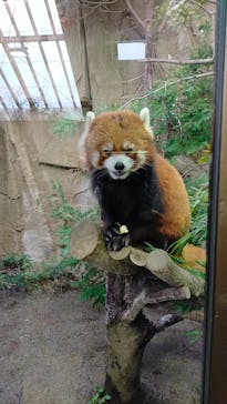 那須どうぶつ王国に投稿された画像（2024/2/24）