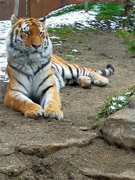 那須どうぶつ王国に投稿された画像（2024/2/24）