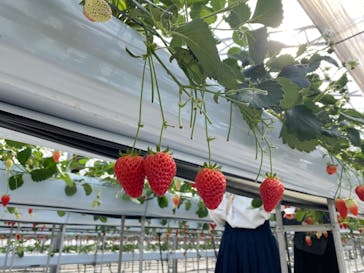 株式会社こまち野に投稿された画像（2024/2/24）