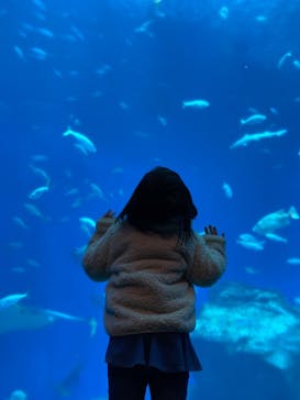アクアワールド茨城県大洗水族館に投稿された画像（2024/2/24）