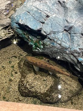 マリンワールド海の中道に投稿された画像（2024/2/24）