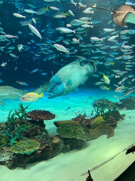 サンシャイン水族館に投稿された画像（2024/2/24）