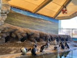 しながわ水族館に投稿された画像（2024/2/24）