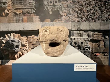 特別展「古代メキシコ ーマヤ、アステカ、テオティワカン」に投稿された画像（2024/2/24）