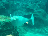 名古屋港水族館に投稿された画像（2024/2/24）