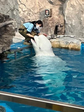 名古屋港水族館に投稿された画像（2024/2/24）