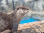 大分マリーンパレス水族館 「うみたまご」に投稿された画像（2024/2/24）