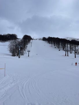 たざわ湖スキー場に投稿された画像（2024/2/24）