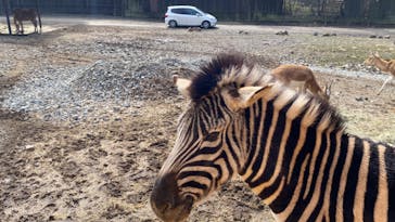 那須サファリパークに投稿された画像（2024/2/24）