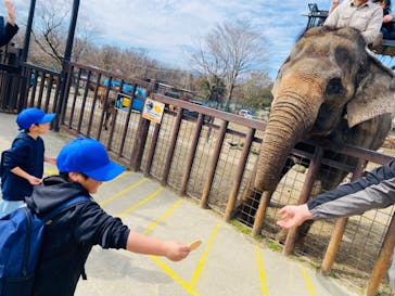 那須サファリパークに投稿された画像（2024/2/24）