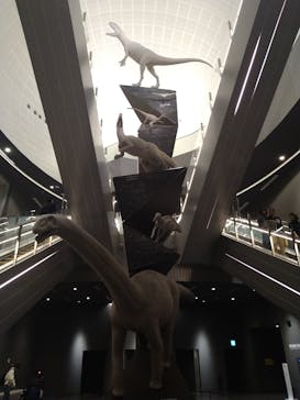 福井県立恐竜博物館に投稿された画像（2024/2/24）