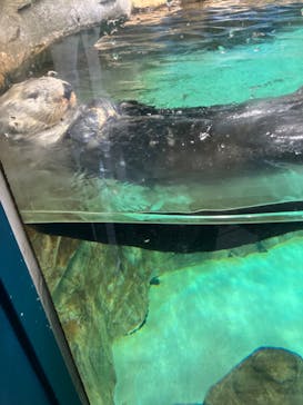 マリンワールド海の中道に投稿された画像（2024/2/24）