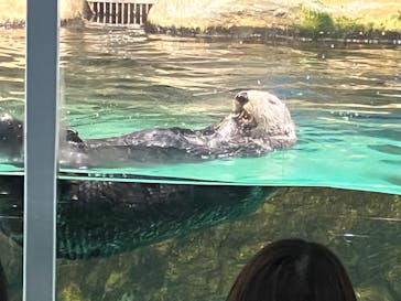 マリンワールド海の中道に投稿された画像（2024/2/24）