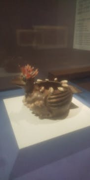 特別展「古代メキシコ ーマヤ、アステカ、テオティワカン」に投稿された画像（2024/2/24）