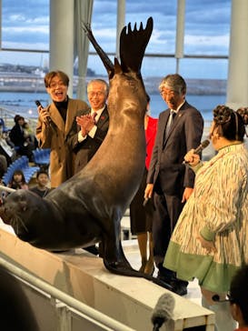 アクアワールド茨城県大洗水族館に投稿された画像（2024/2/24）