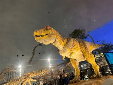 福井県立恐竜博物館に投稿された画像（2024/2/24）