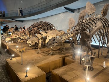 福井県立恐竜博物館に投稿された画像（2024/2/24）