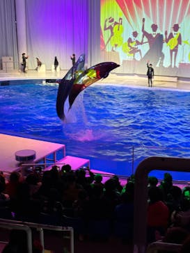 アクアワールド茨城県大洗水族館に投稿された画像（2024/2/24）