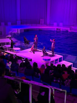 アクアワールド茨城県大洗水族館に投稿された画像（2024/2/24）