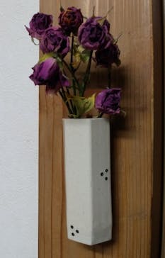 アイテムえひめに投稿された画像（2024/2/24）