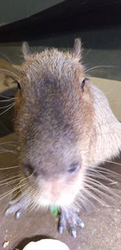 マクセル アクアパーク品川に投稿された画像（2024/2/24）