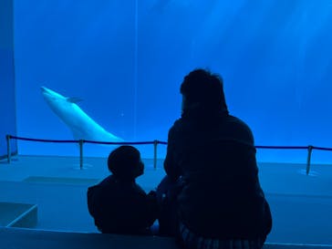 名古屋港水族館に投稿された画像（2024/2/24）