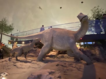 福井県立恐竜博物館に投稿された画像（2024/2/24）