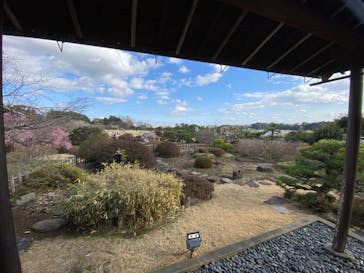 偕楽園本園に投稿された画像（2024/2/24）