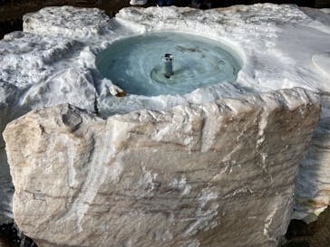 偕楽園本園に投稿された画像（2024/2/24）