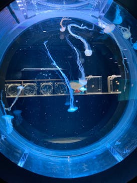 AOAO SAPPOROに投稿された画像（2024/2/24）