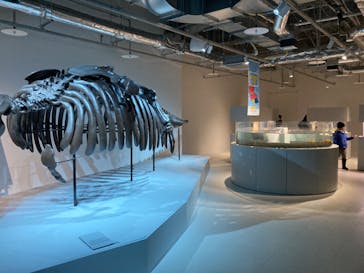 AOAO SAPPOROに投稿された画像（2024/2/24）