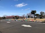 伊豆ぐらんぱる公園に投稿された画像（2024/2/24）