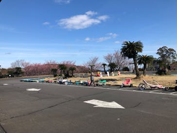 伊豆ぐらんぱる公園に投稿された画像（2024/2/24）