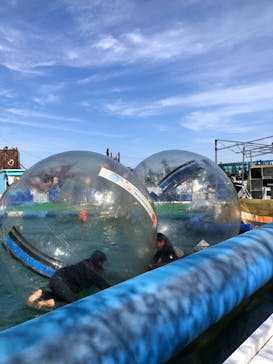 伊豆ぐらんぱる公園に投稿された画像（2024/2/24）