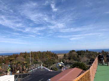 伊豆ぐらんぱる公園に投稿された画像（2024/2/24）