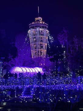 江の島シーキャンドルに投稿された画像（2024/2/24）