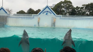 しながわ水族館に投稿された画像（2024/2/24）