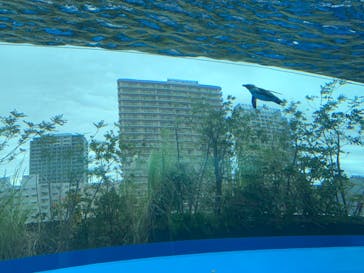 サンシャイン水族館に投稿された画像（2024/2/24）