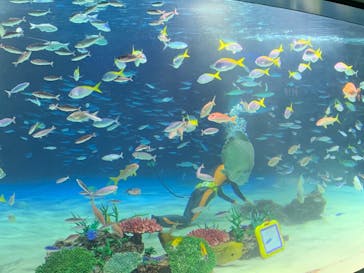 サンシャイン水族館に投稿された画像（2024/2/24）