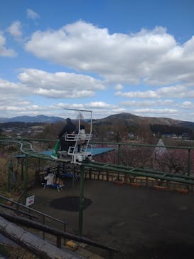 いばらきフラワーパークに投稿された画像（2024/2/24）