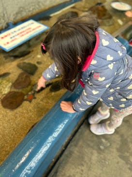 大分マリーンパレス水族館 「うみたまご」に投稿された画像（2024/2/24）